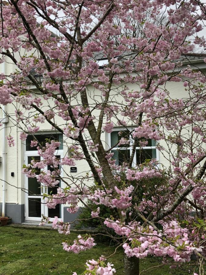 The Annexe, Tregoose House Appartement New Quay Buitenkant foto